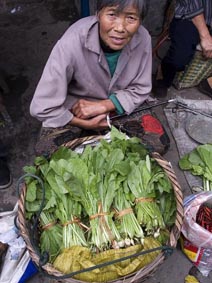 Hou Yimin's Images